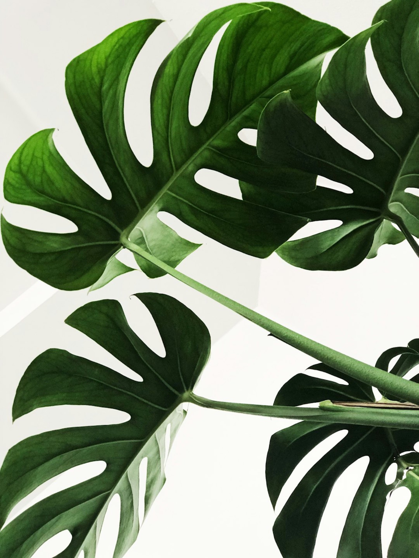 Handmade goods for everyday life